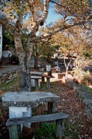 /album/turismo/a268865-159644534103916-5595432-n-jpg/